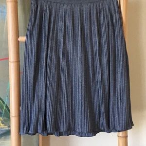 Banana Republic Pleated Skirt